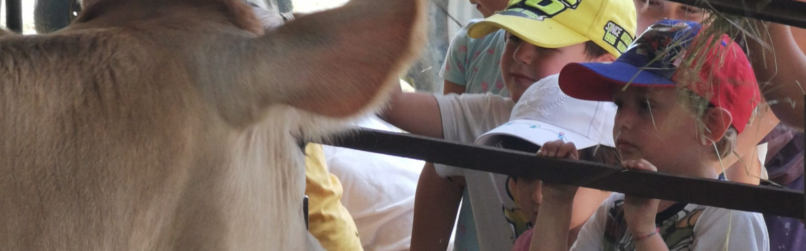 Educazione ambientale per bambini