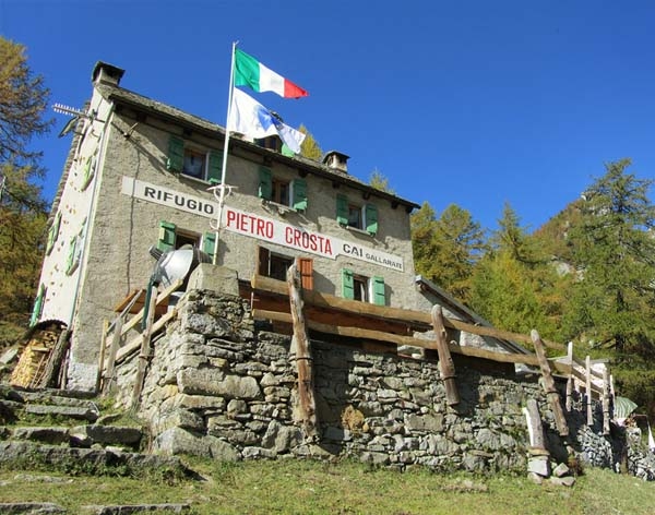 1626857478_copertine